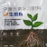 多科农生根粉果蔬生根专用药材蔬菜生根专用生根肥料