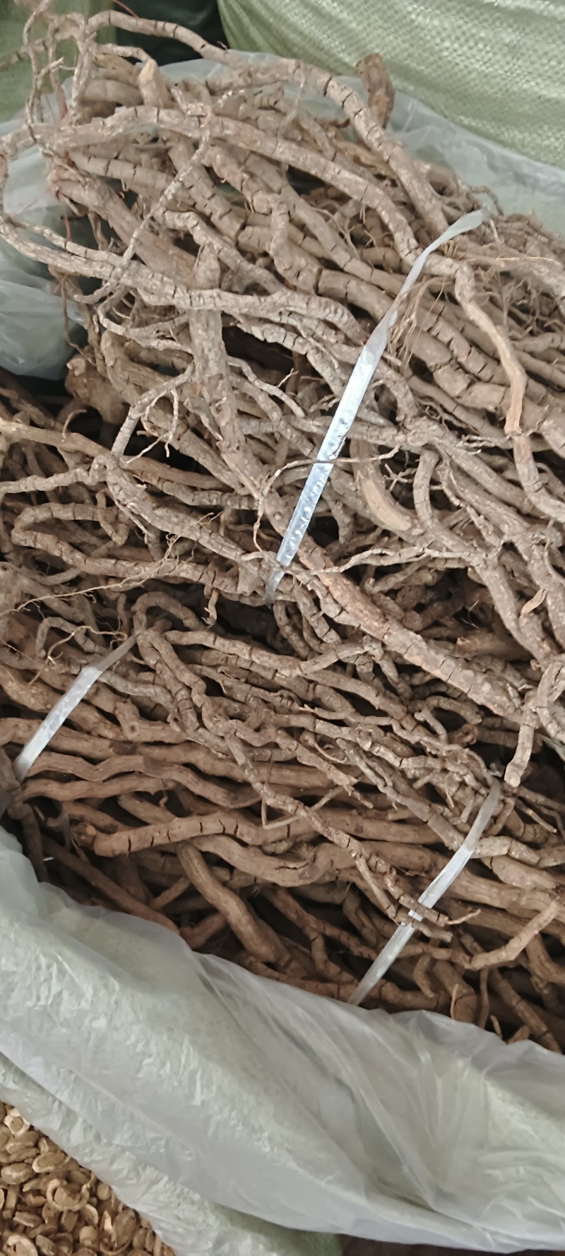 黑老虎，中药材小钻，黑老虎，源头好货，长期供应