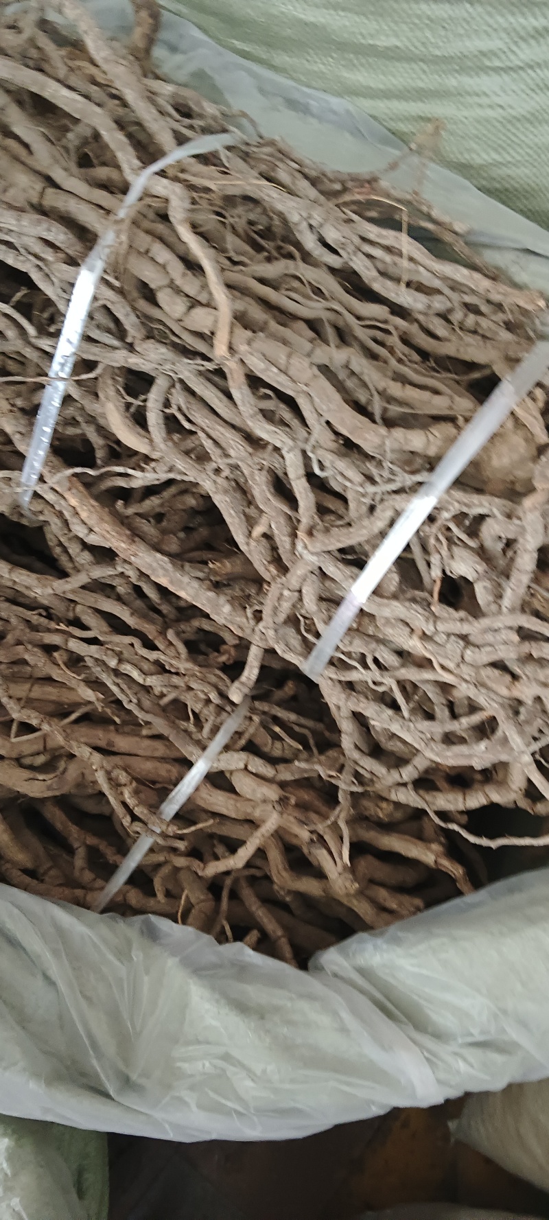 黑老虎，中药材小钻，黑老虎，源头好货，长期供应