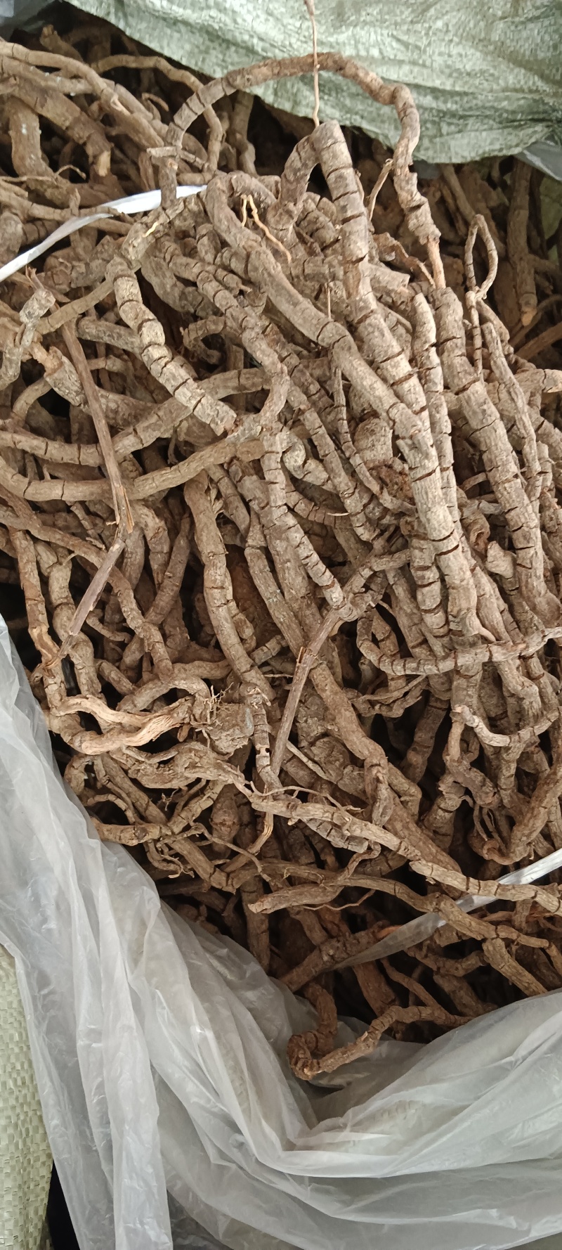 黑老虎，中药材小钻，黑老虎，源头好货，长期供应