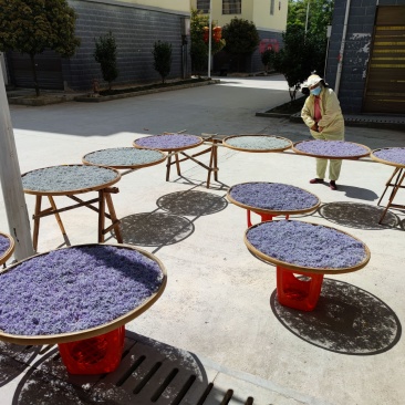 莓茶原产地茶农直发(无中间商赚差价有需要的麻烦电话联系)