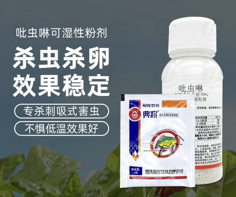 冠龙典将70%吡虫啉刺吸式害虫蚜虫虫卵双杀