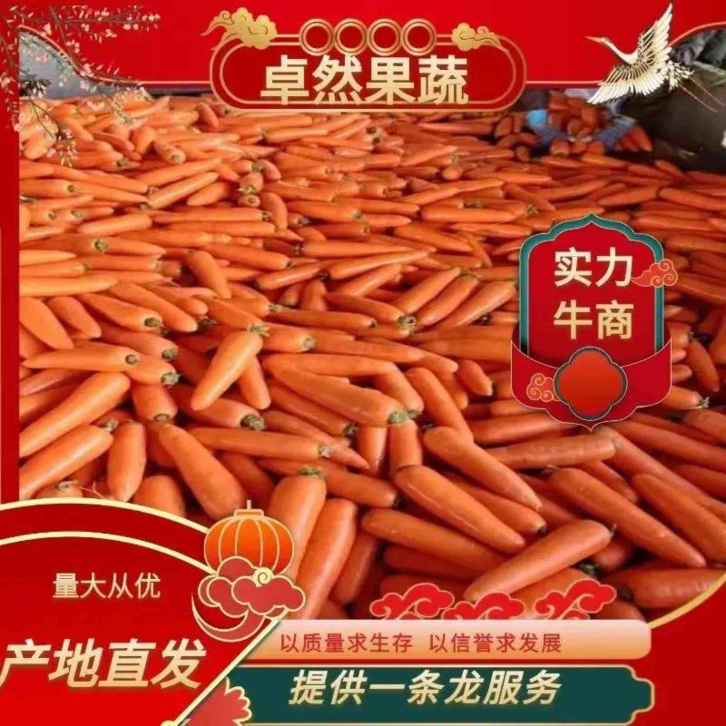 【推荐】精品胡萝卜一手货源产地直发货源充足欢迎咨询