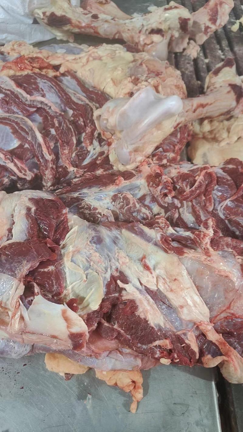 呼伦贝尔清真牛肉自产自销货源充足欢迎订购