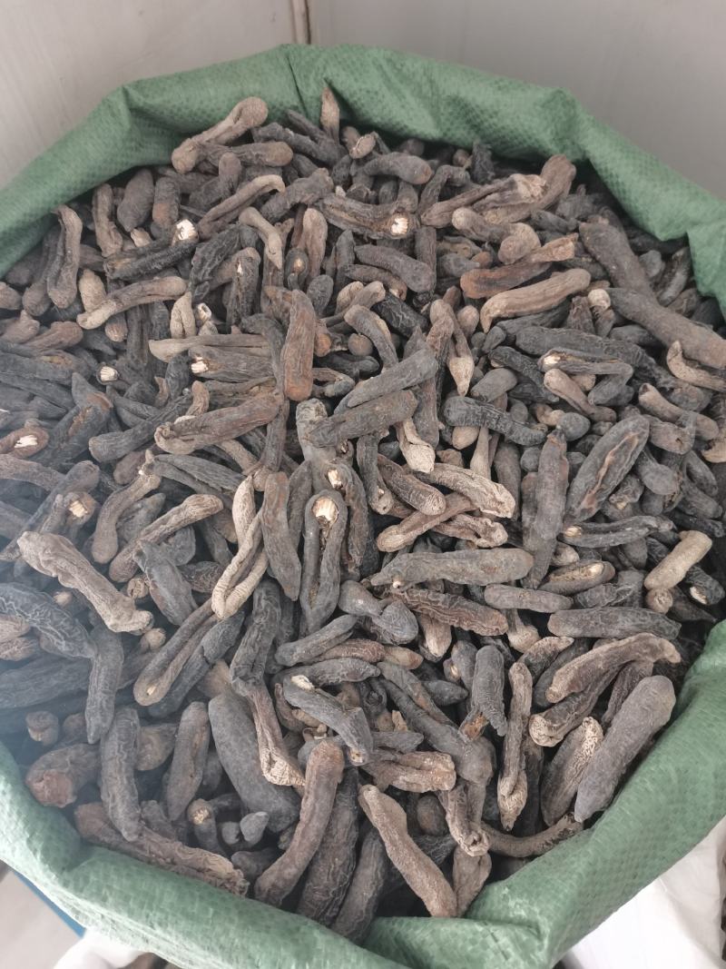 茄参中号泡发简单皮参个大均匀海地瓜
