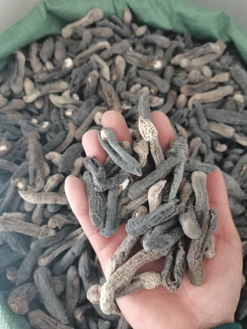 茄参中号泡发简单皮参个大均匀海地瓜