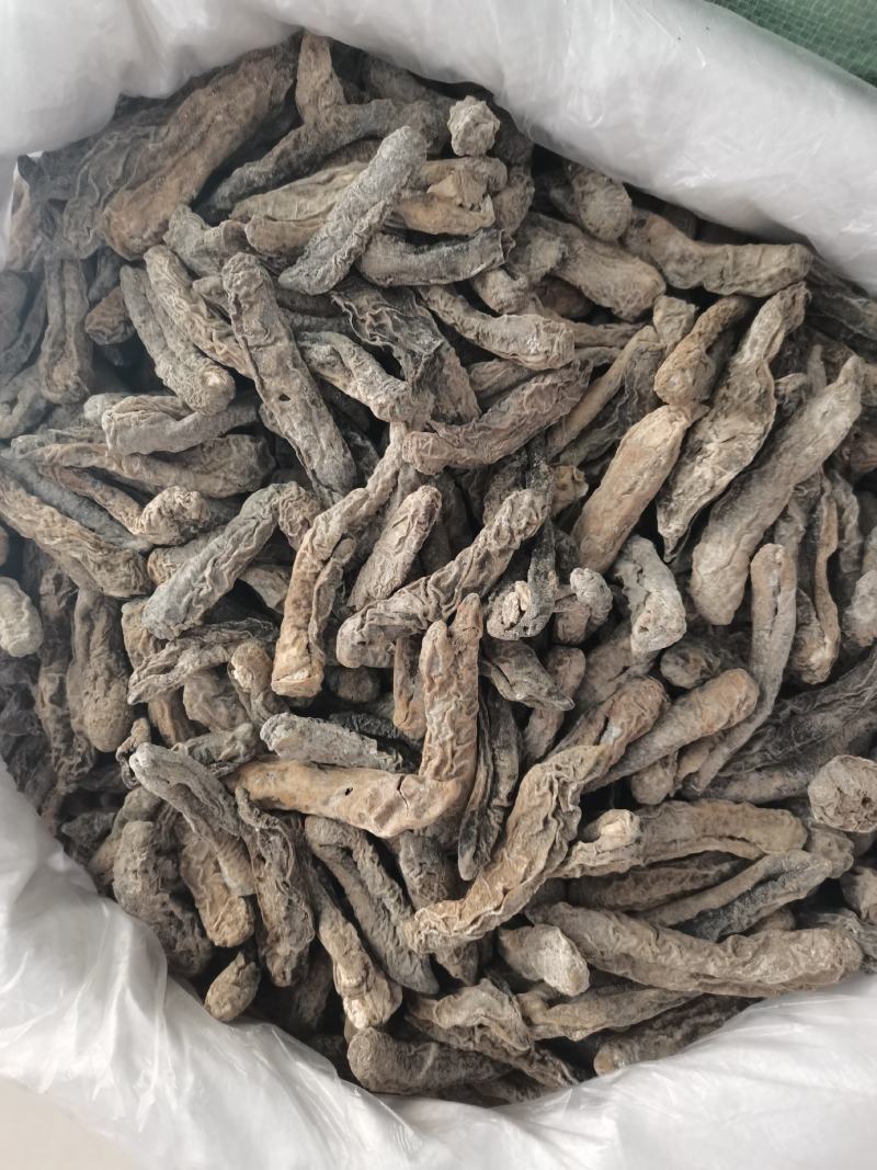 茄参中号泡发简单皮参个大均匀海地瓜