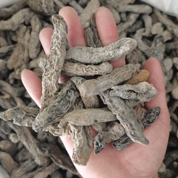 茄参中号泡发简单皮参个大均匀海地瓜