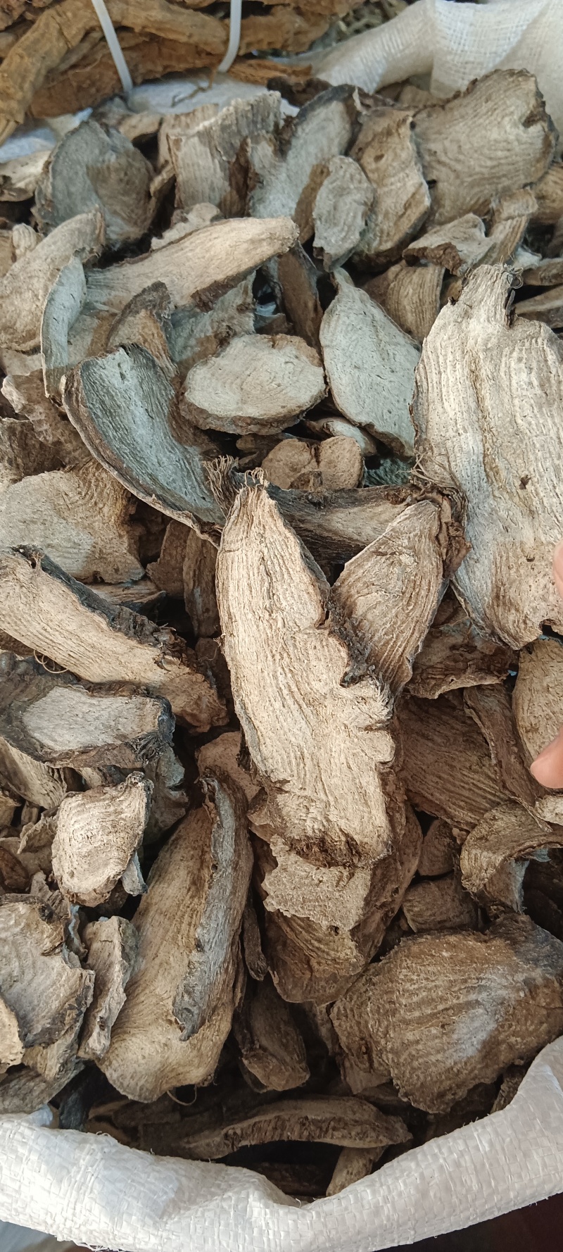 地老鼠，入地老鼠，胭脂根，源头好货，中药材地老鼠