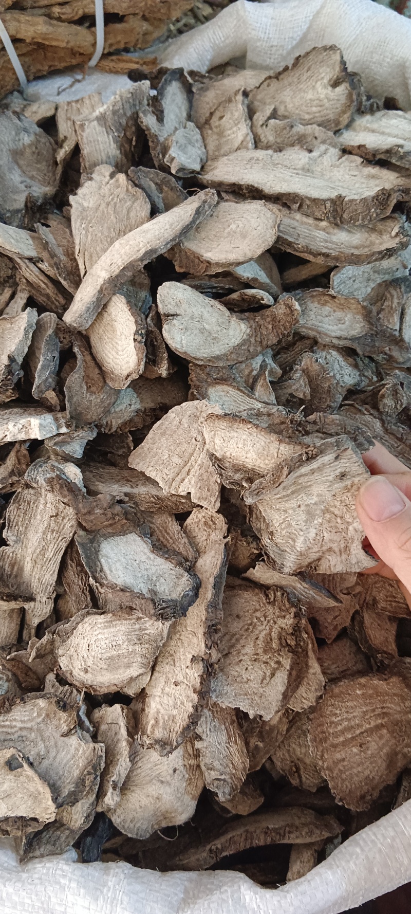 地老鼠，入地老鼠，胭脂根，源头好货，中药材地老鼠