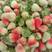 云南会泽县四季草莓，自然成数现摘现发，质量保证。