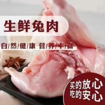 陕西榆林【兔肉】质量保证，品种纯正，假一赔十欢迎咨询