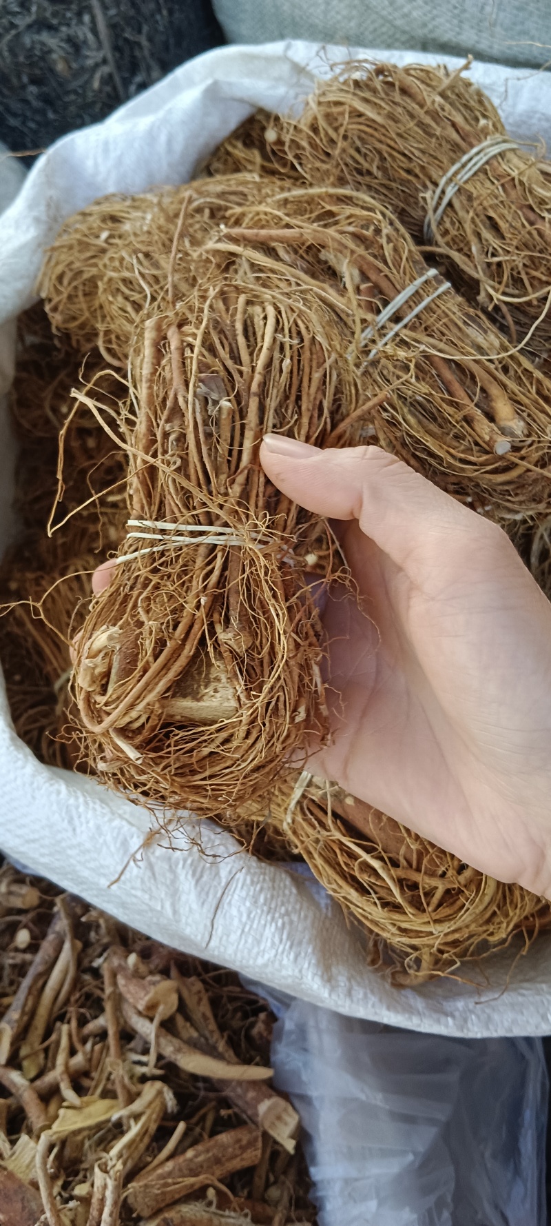 五指毛桃，五指牛奶，产地直发品质保证全国发货欢迎下单