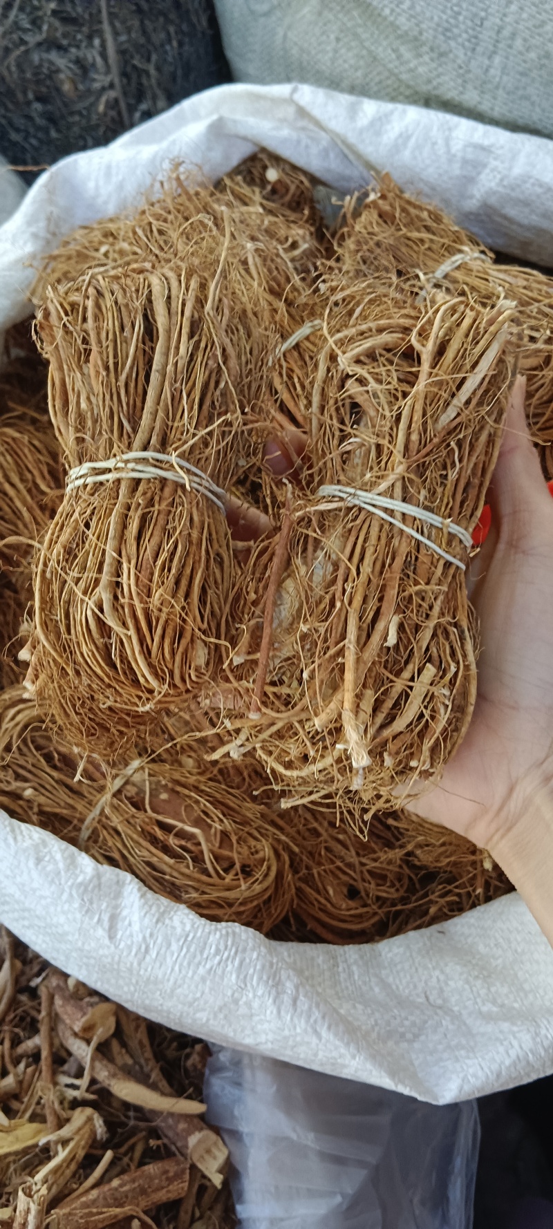五指毛桃，五指牛奶，产地直发品质保证全国发货欢迎下单