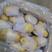精品土豆货源充足滕州大棚新土豆，优惠欢迎选购。