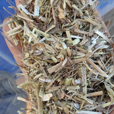 花生秧草料