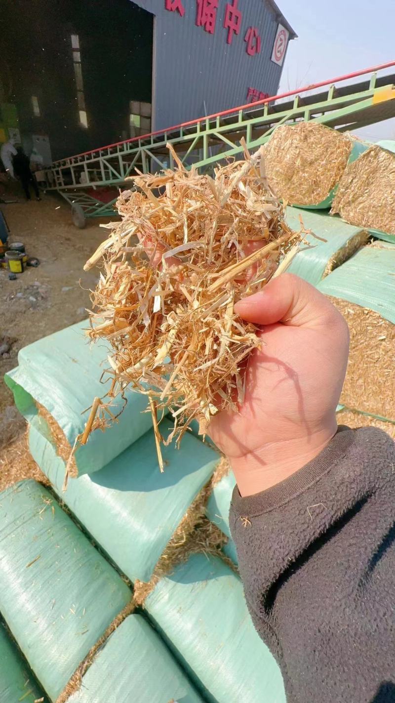 花生秧草料