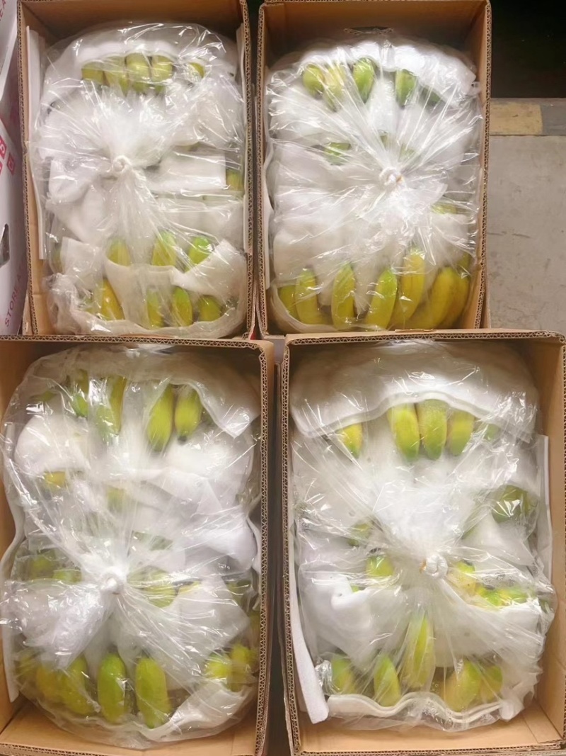 精品二级蕉，现拆柜，品质邦邦硬，无黑皮无硬芯无裂口，