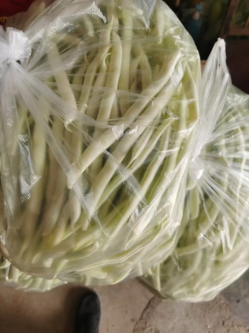 河南焦作精品芸豆，白不老大量供应中，需要的可以电议我！