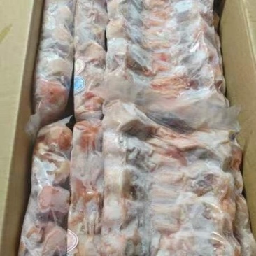 带舌鸭下巴
