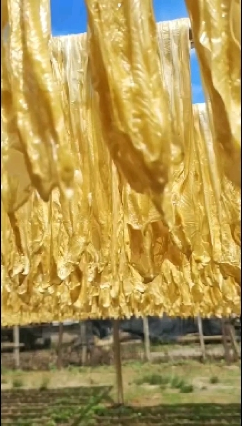 柴火手工腐竹，自家生产无黑科技，自然氧化色，健康食品。