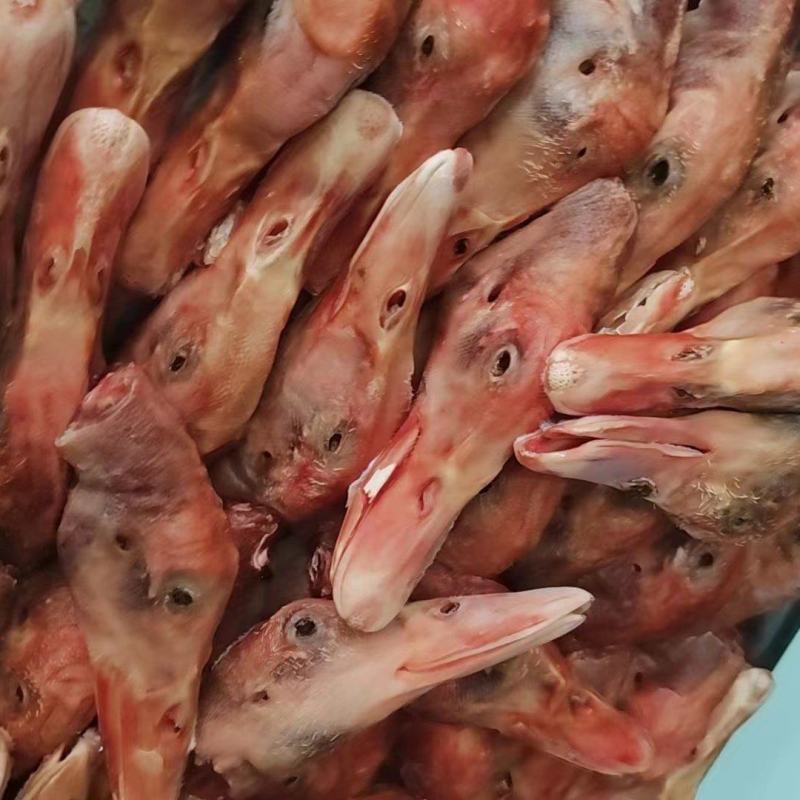 白条鸭头