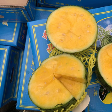 特效凤东方蜜头茬瓜