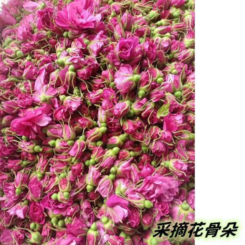 基地直销食用玫瑰苗，量大从优，沭阳基地直发