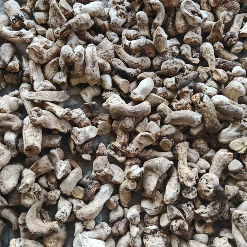 干香菇香菇脚（精品香菇腿）干净一手货源，支持全国发货