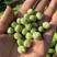 豌豆荚产地一手货源，规格齐全，量大价优，对接全国客商