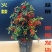 火棘盆景吉祥果树造型树苗满堂红花卉冬季观果盆栽植物室内外种植