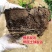 火棘盆景吉祥果树造型树苗满堂红花卉冬季观果盆栽植物室内外种植