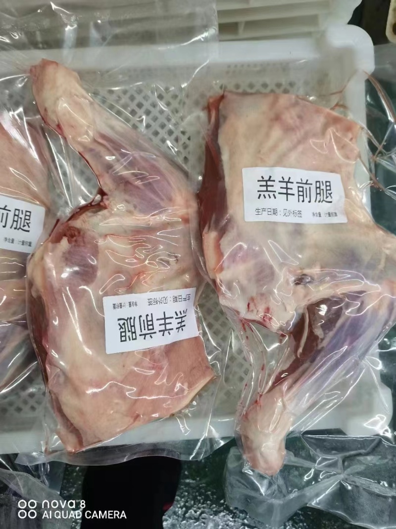 羊前腿内蒙羔羊带骨前腿肉质新鲜无水纯干