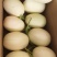 精品东方蜜等各种小白瓜热销中，皮薄脆甜，保质保量，诚信经