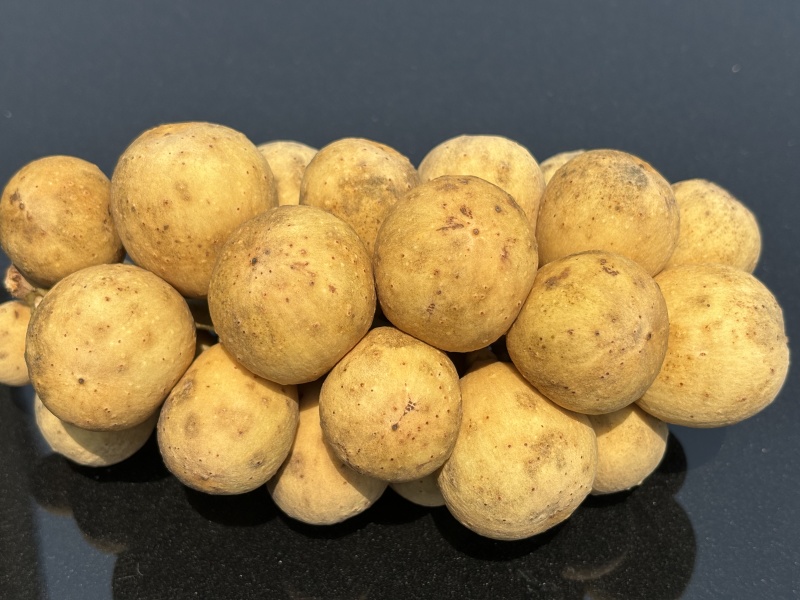 龙宫果大量上市，口感纯甜细腻软糯，出货周期长，一件代发