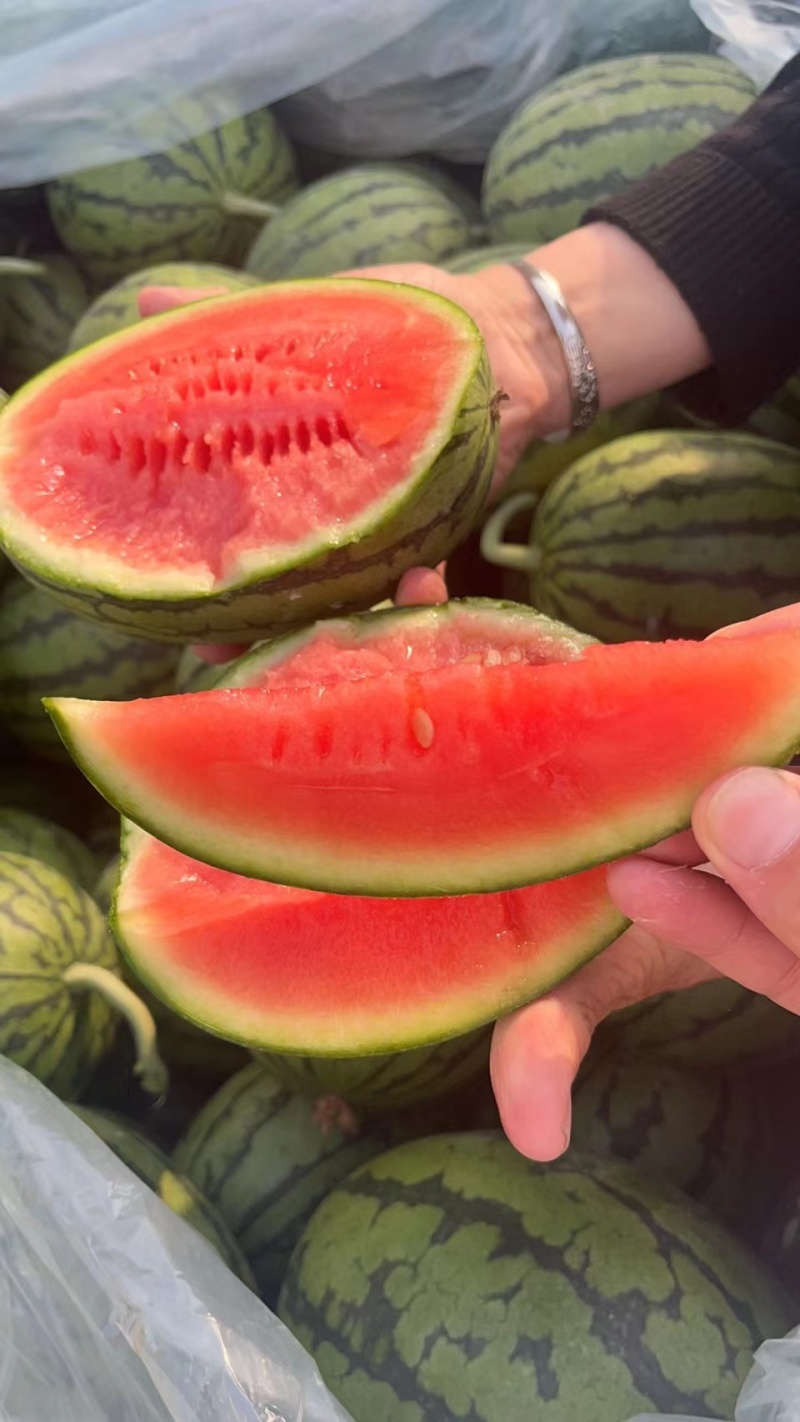 精品小糖丸，夏天必备，大量上市