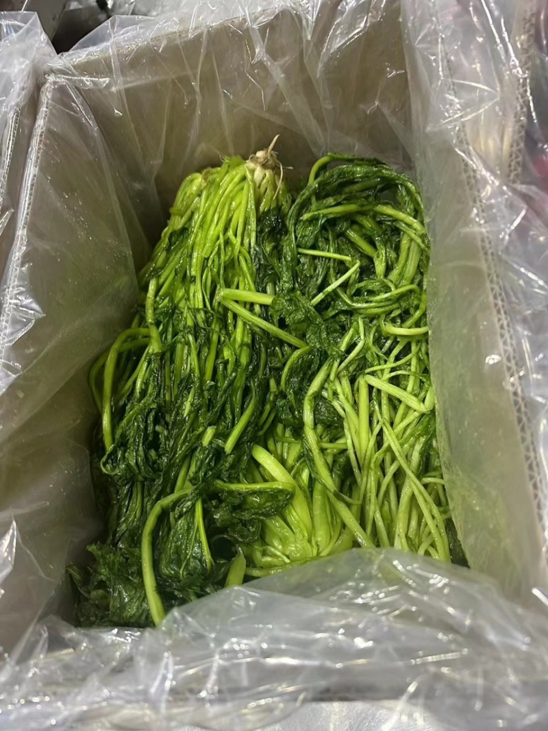 冷冻青雪菜