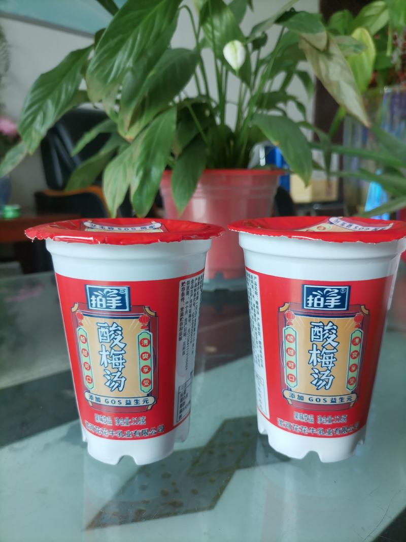 河南花花牛乳业拍手牌酸梅汤杯装整车批发全国各地