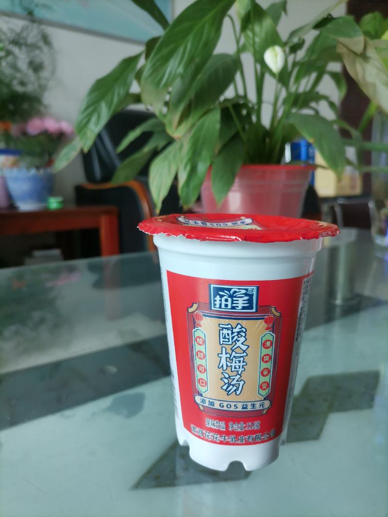 河南花花牛乳业拍手牌酸梅汤杯装整车批发全国各地