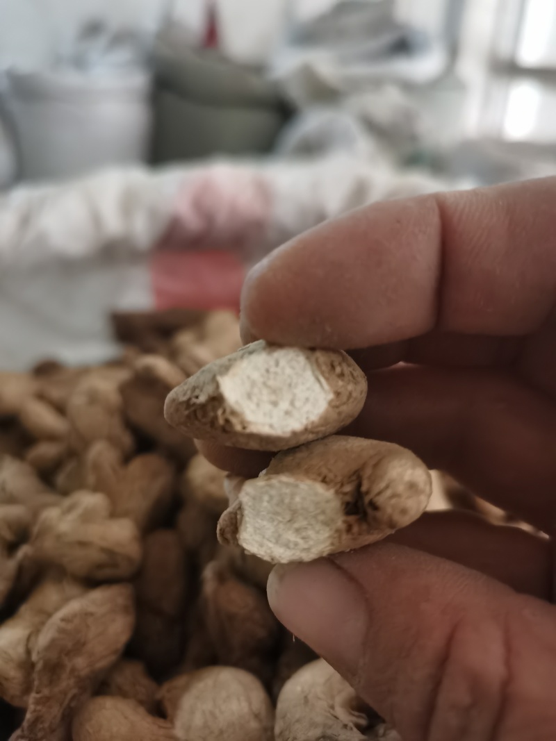 炮姜好粉质炮姜颜色好批发零售各种规格中药材