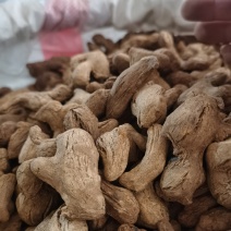 炮姜好粉质炮姜颜色好批发零售各种规格中药材