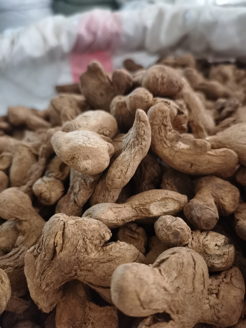 炮姜好粉质炮姜颜色好批发零售各种规格中药材