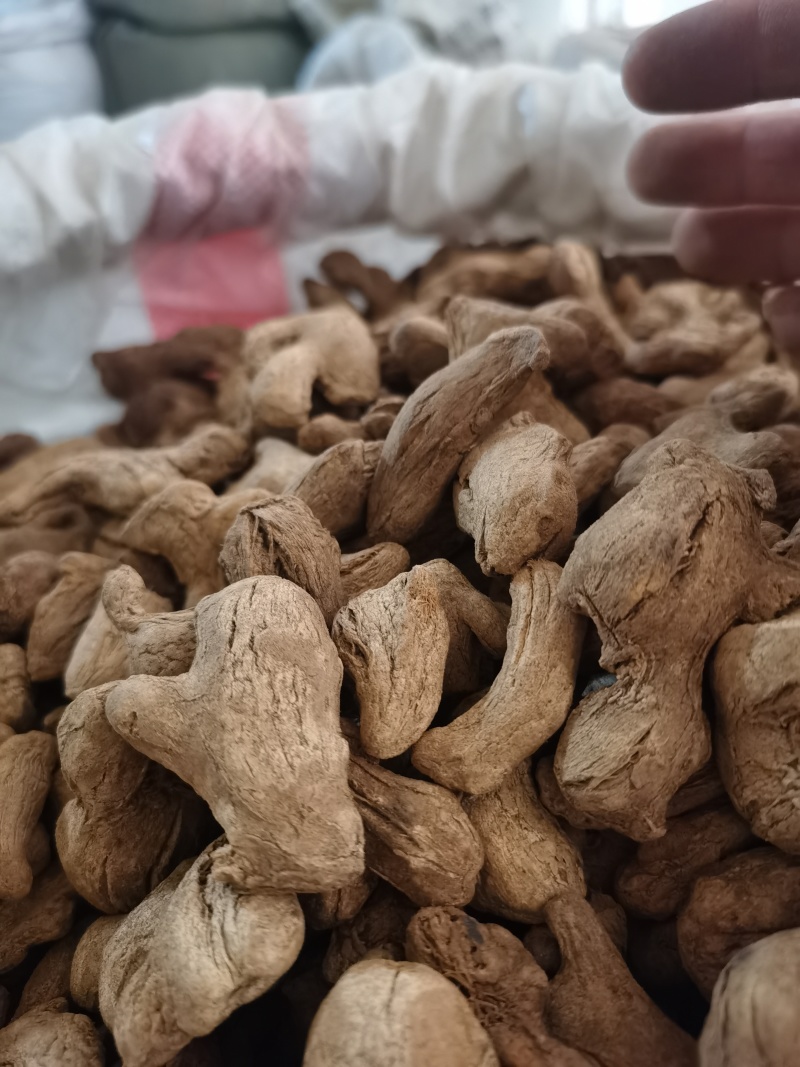 炮姜好粉质炮姜颜色好批发零售各种规格中药材