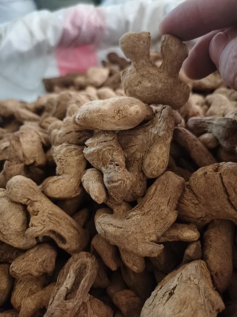 炮姜好粉质炮姜颜色好批发零售各种规格中药材