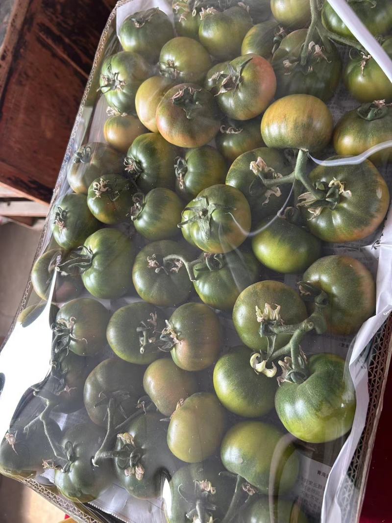 铁皮柿子草莓西红柿供应市场商超电商量大价优