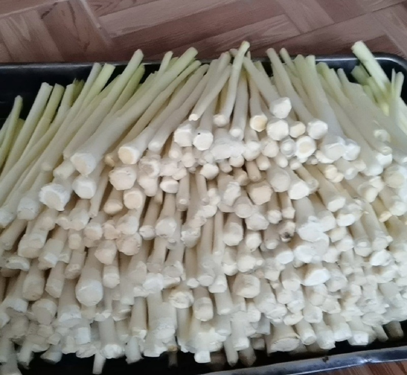 江苏蒲菜产地发货量大优惠全国发货欢迎联系