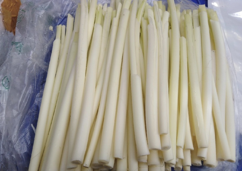 江苏蒲菜产地发货量大优惠全国发货欢迎联系