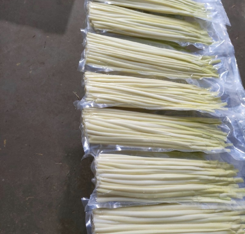 江苏蒲菜产地发货量大优惠全国发货欢迎联系