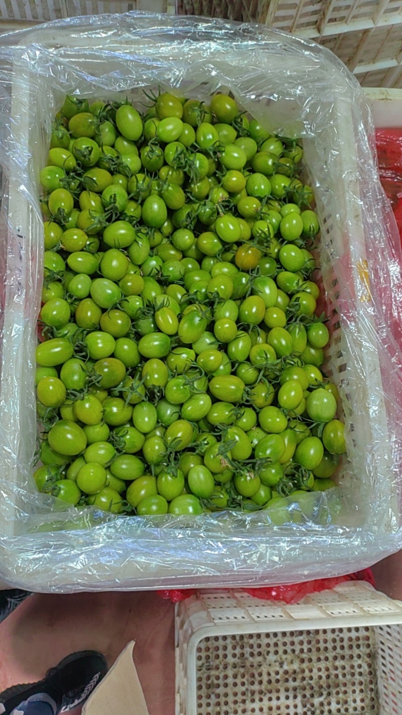 小西红柿