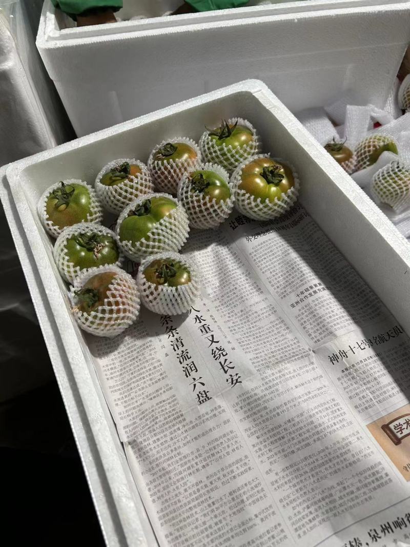 【推荐】水果番茄铁皮柿子草莓西红柿供应市场商超电商